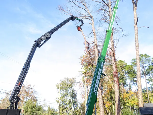 Knuckle-boom crane at full reach into a tall pine — crane tree removal in Jacksonville, FL by Jax Tree Removal