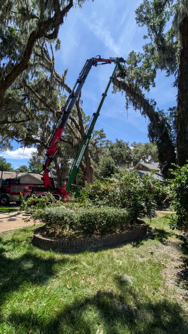 Red crane and green spider-lift booms arcing together into a moss-draped live oak over a brick garden wall — tree removal in Jacksonville, FL by Jax Tree Removal