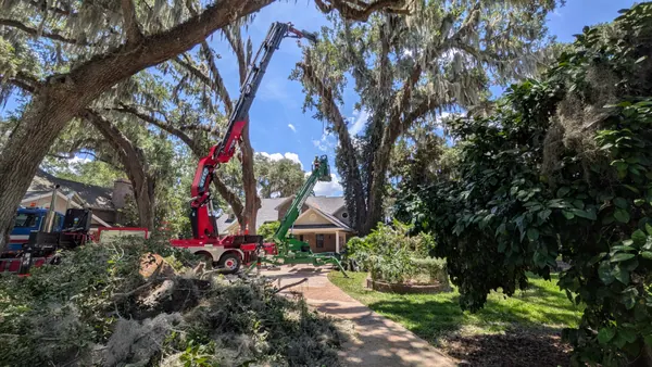 Red Effer knuckle-boom crane and green JaxTreeRemoval spider-lift removing a large moss-draped live oak over a brick craftsman home — crane tree removal in Jacksonville, FL by Jax Tree Removal