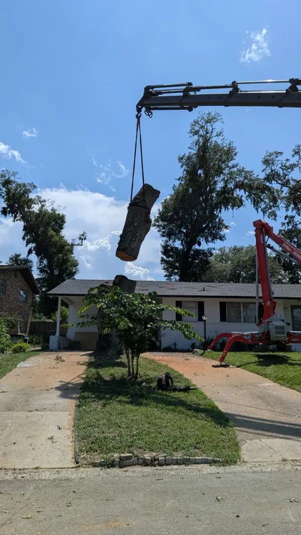 Jax Tree Removal red knuckle-boom crane lifting a strapped vertical oak trunk section on a hook over a white single-story home in Jacksonville, FL