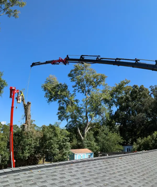 Jax Tree Removal red Effer knuckle-boom crane and a red aerial lift with a climber topping a bare oak trunk, seen over a rooftop against blue sky in Jacksonville, FL