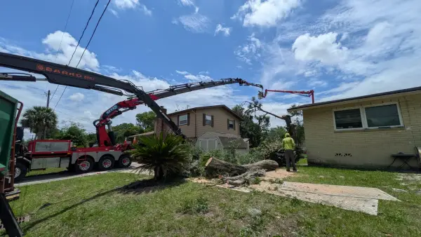 Jax Tree Removal red Barko knuckle-boom crane truck working alongside a red aerial lift as a climber trims an oak, hi-vis groundman below, Jacksonville, FL