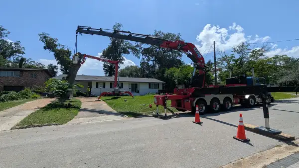 Jax Tree Removal red Effer knuckle-boom crane truck reaching over a ranch home while a red spider lift raises a climber into the oak, Jacksonville, FL