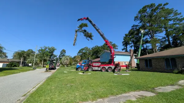 Jax Tree Removal red Effer crane on a blue truck lifting a strapped pine top while a climber works from a green aerial lift over a Jacksonville, FL yard
