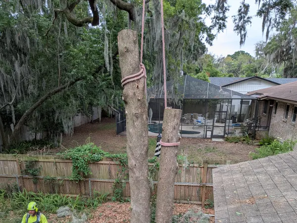 Two Jax Tree Removal climbers cutting a rigged double-trunk oak in a fenced backyard beside a screened pool in Jacksonville, FL