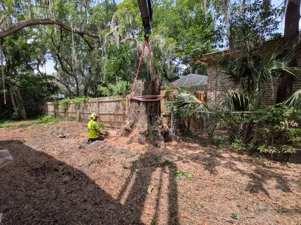 Crane strap lowering onto a large oak stump as a worker makes the cut in a backyard removal in Jacksonville, FL