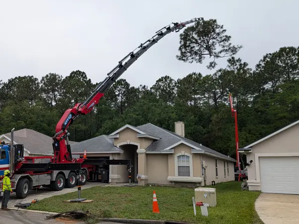 Blue crane truck with red knuckle-boom reaching to a tall pine over a stucco ranch home in Jacksonville, FL