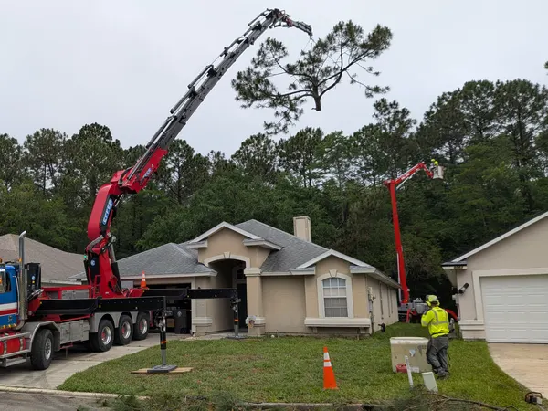 Jax Tree Removal crane boom and aerial lift working a tall pine above a stucco ranch home in Jacksonville, FL
