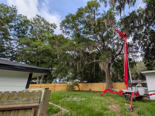 Compact red tracked spider crane set up on outriggers in a fenced backyard to reach a tall moss-draped tree in Jacksonville, FL
