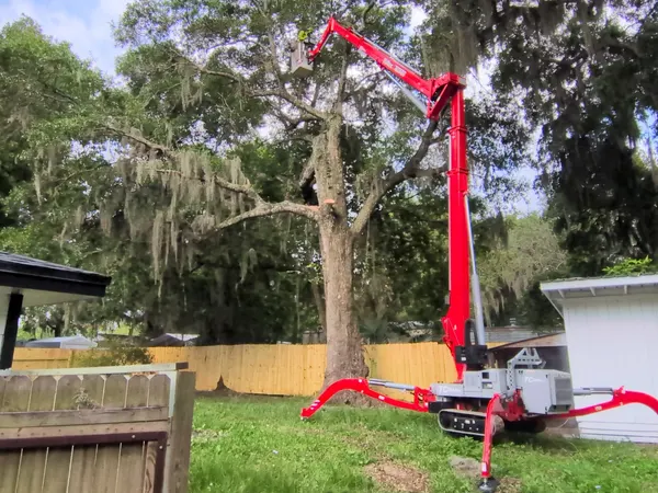 Tracked spider crane reaching a worker in its basket high into a tall moss-draped oak in a Jacksonville, FL backyard