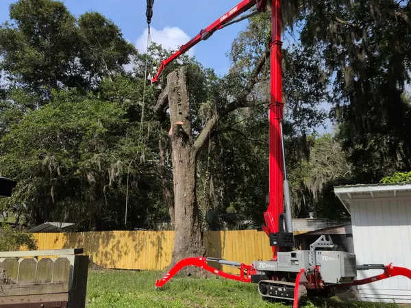 Tracked spider crane with boom extended to a topped backyard oak as a worker rigs the trunk in Jacksonville, FL