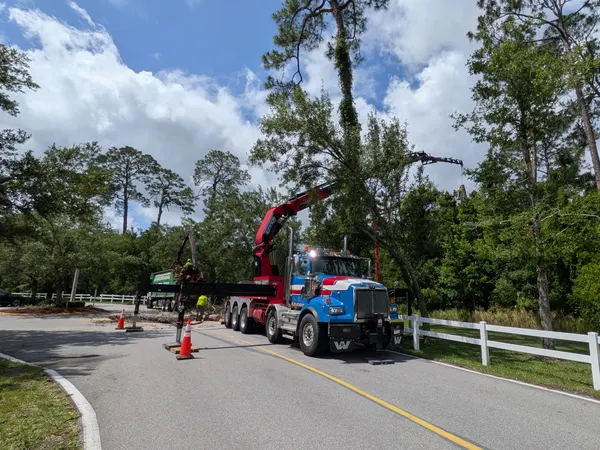 Jax Tree Removal blue crane truck staged on a tree-lined road with a white fence for a dead pine removal in Jacksonville, FL