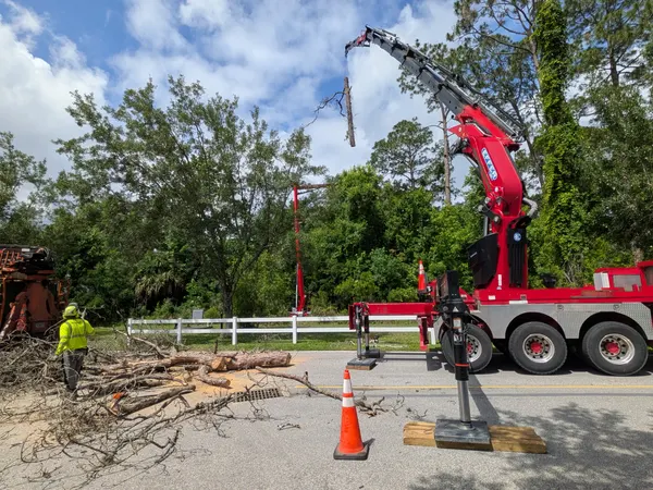 Jax Tree Removal crew feeding brush into the branded chipper truck while the crane works a pine on a Jacksonville, FL roadside