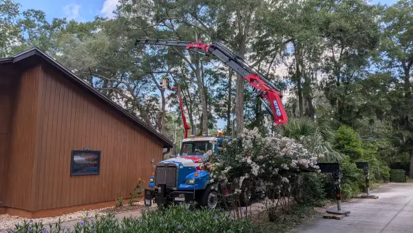 Jax Tree Removal blue Western Star truck with a red Effer knuckle-boom crane extended over a house while an aerial lift basket works high in the live oak canopy, Jacksonville, FL