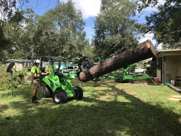 Green articulated loader carrying a log with the grapple — tree removal in Jacksonville, FL by Jax Tree Removal
