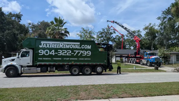 Green branded Jax Tree Removal dump truck on the street with the knuckle-boom crane crew working an oak behind — tree removal and debris hauling in Jacksonville, FL