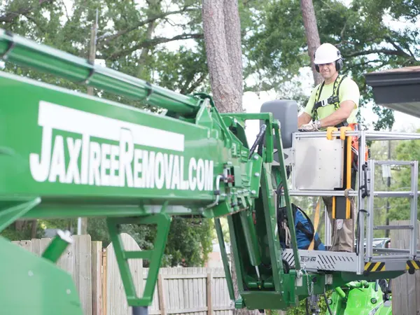 Branded JaxTreeRemoval.com spider lift with a worker in the aerial lift — tree service in Jacksonville, FL by Jax Tree Removal