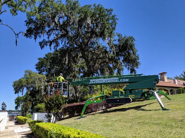 Green JaxTreeRemoval.com spider lift on a waterfront estate under live oaks — tree service in Jacksonville, FL by Jax Tree Removal