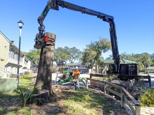 Knuckle-boom crane grapple on a large trunk — crane tree removal in Jacksonville, FL by Jax Tree Removal