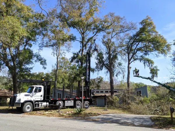 Knuckle-boom crane trimming a mossy oak — tree trimming in Jacksonville, FL by Jax Tree Removal