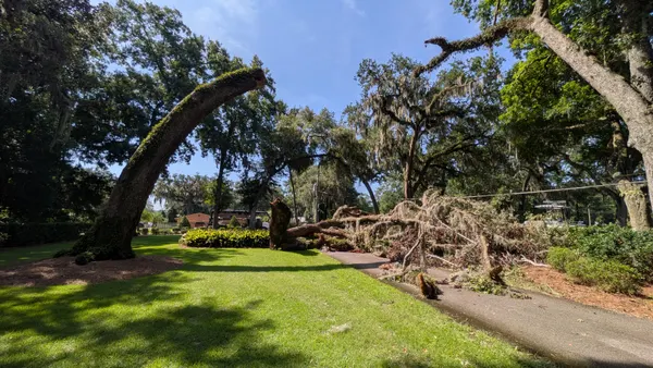 Storm-damaged leaning live oak with a broken limb down across the path at an upscale Jacksonville property — Jax Tree Removal