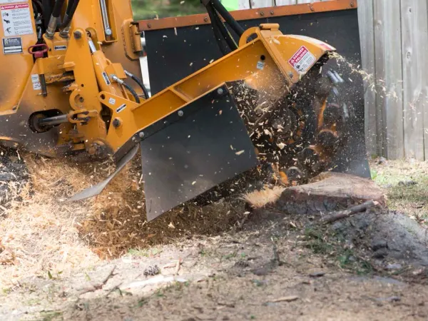 Stump grinder throwing a spray of chips — stump grinding in Jacksonville, FL by Jax Tree Removal