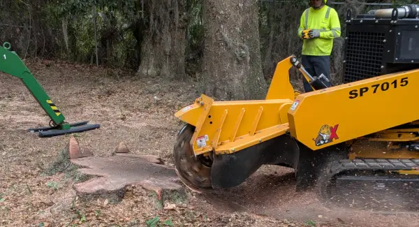 Stump grinding — crane tree removal in Jacksonville, FL by Jax Tree Removal