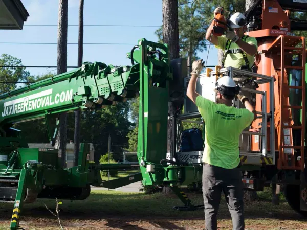 Crew and green spider crane with an aerial lift — tree service in Jacksonville, FL by Jax Tree Removal