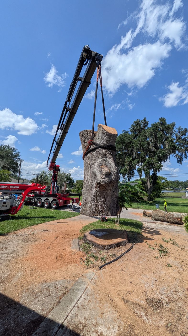 Jax Tree Removal crane lifting a large oak trunk section over a riverfront property in Jacksonville, FL