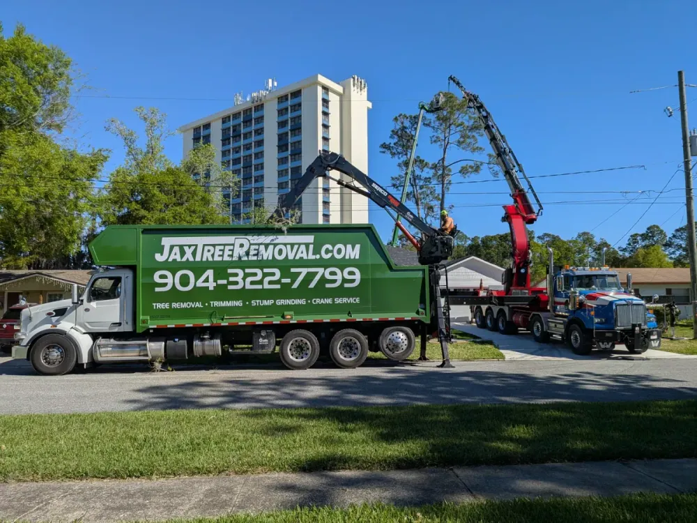 Green Jax Tree Removal debris-hauling truck parked on a Jacksonville street, branded with the phone number and services, crane crew working behind