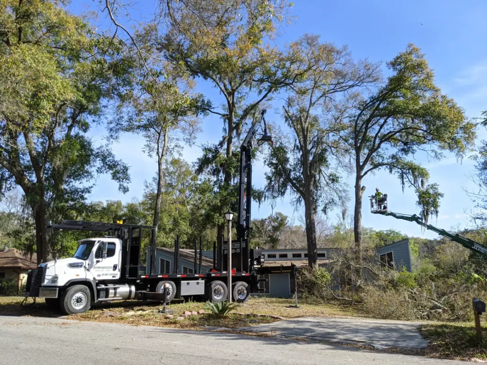 Knuckle-boom crane trimming a mossy oak — tree trimming in Jacksonville, FL by Jax Tree Removal