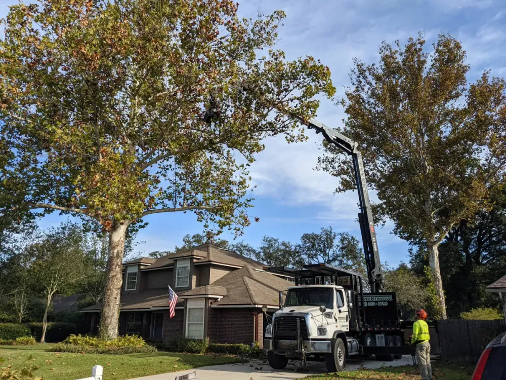 Jax Tree Removal knuckle-boom crane reaching over the roof of a two-story Jacksonville home to remove a large tree