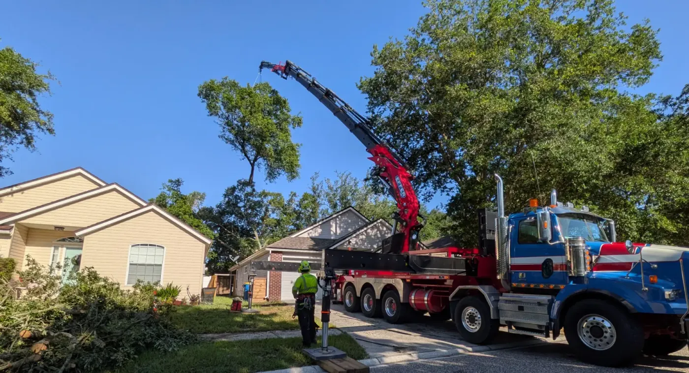 Local tree removal near me crane experts beauclerc — crane tree removal in Jacksonville, FL by Jax Tree Removal