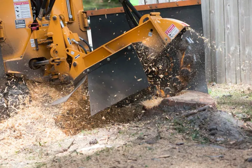 Stump grinder throwing a spray of chips — stump grinding in Jacksonville, FL by Jax Tree Removal