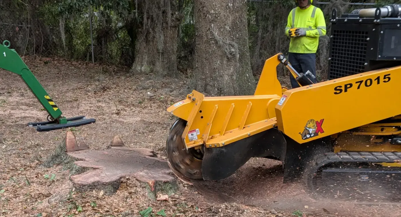 Stump grinding — crane tree removal in Jacksonville, FL by Jax Tree Removal