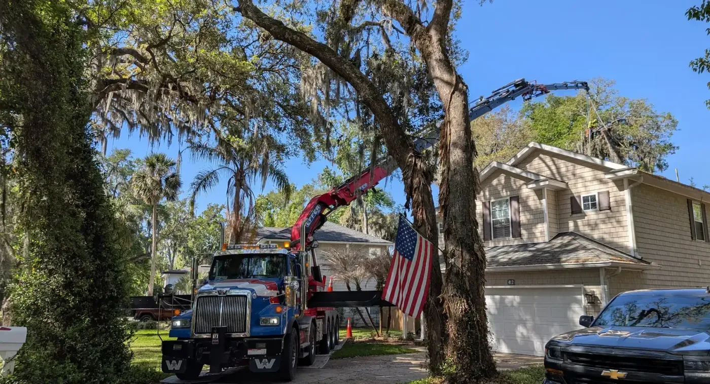 Tree removal crane climber backyard big oak removal san jose — crane tree removal in Jacksonville, FL by Jax Tree Removal