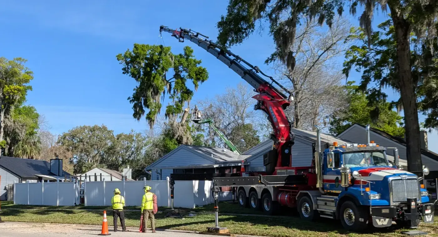 Tree removal crane service — crane tree removal in Jacksonville, FL by Jax Tree Removal