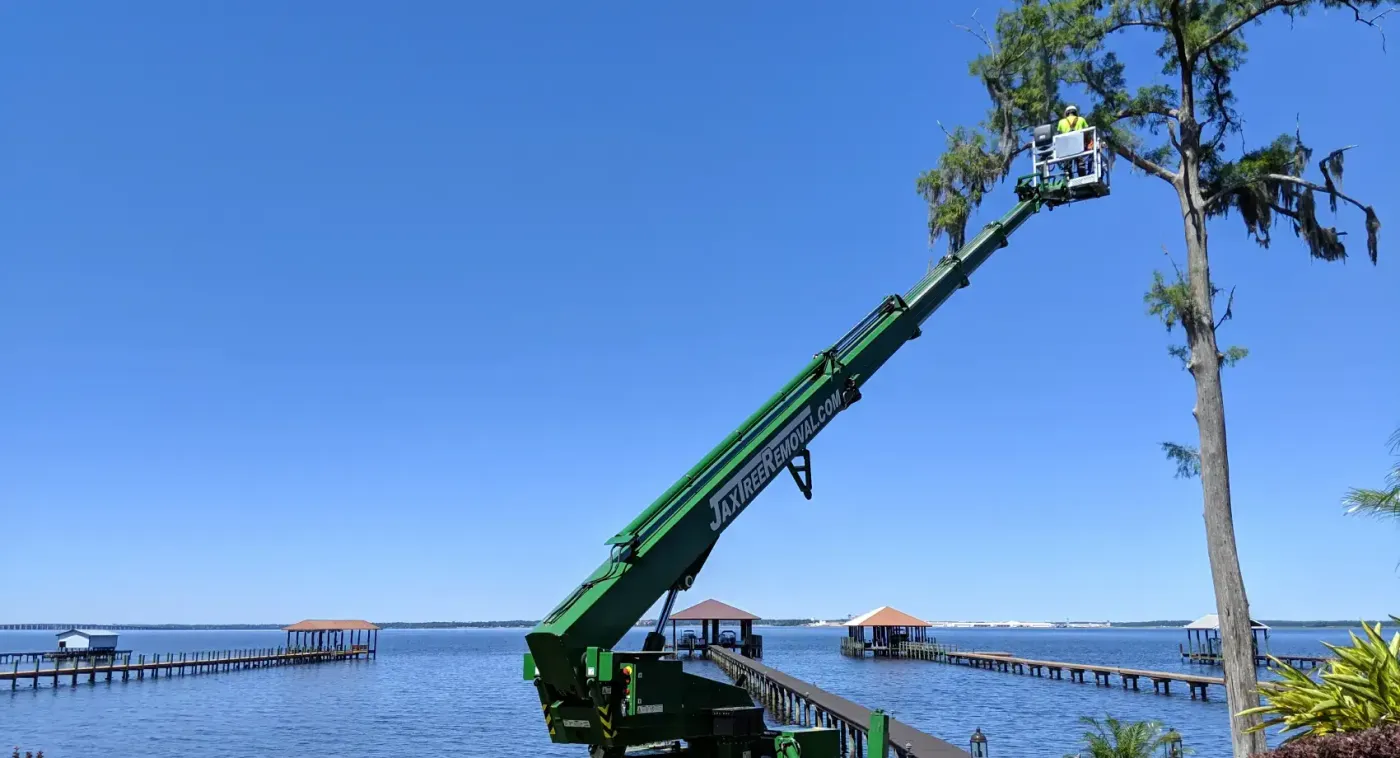 Tree trimming — crane tree removal in Jacksonville, FL by Jax Tree Removal
